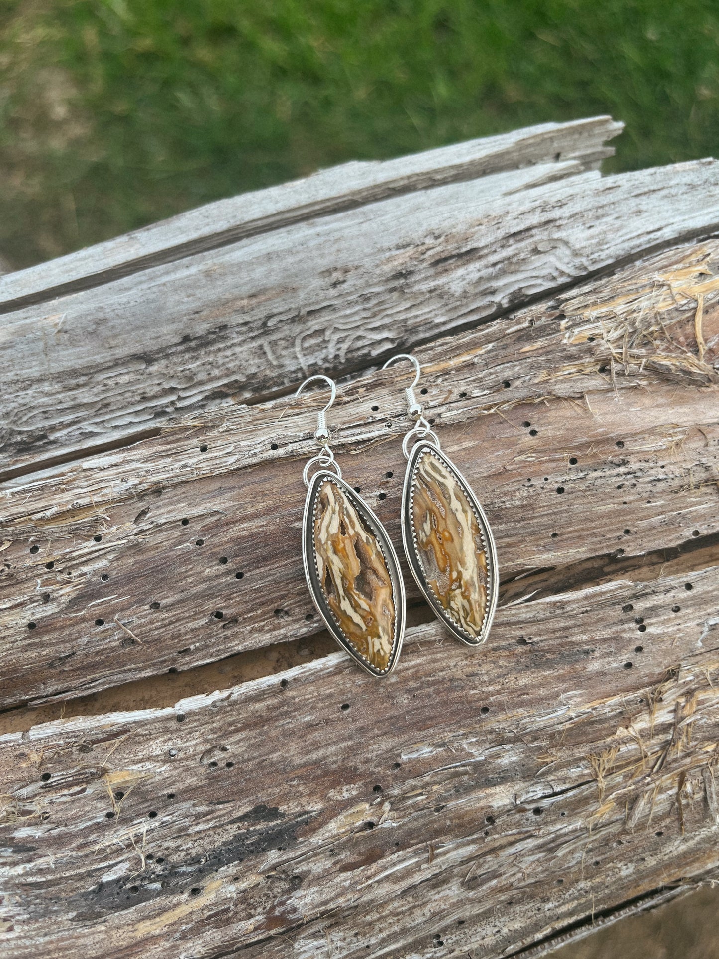 petrified wood earrings