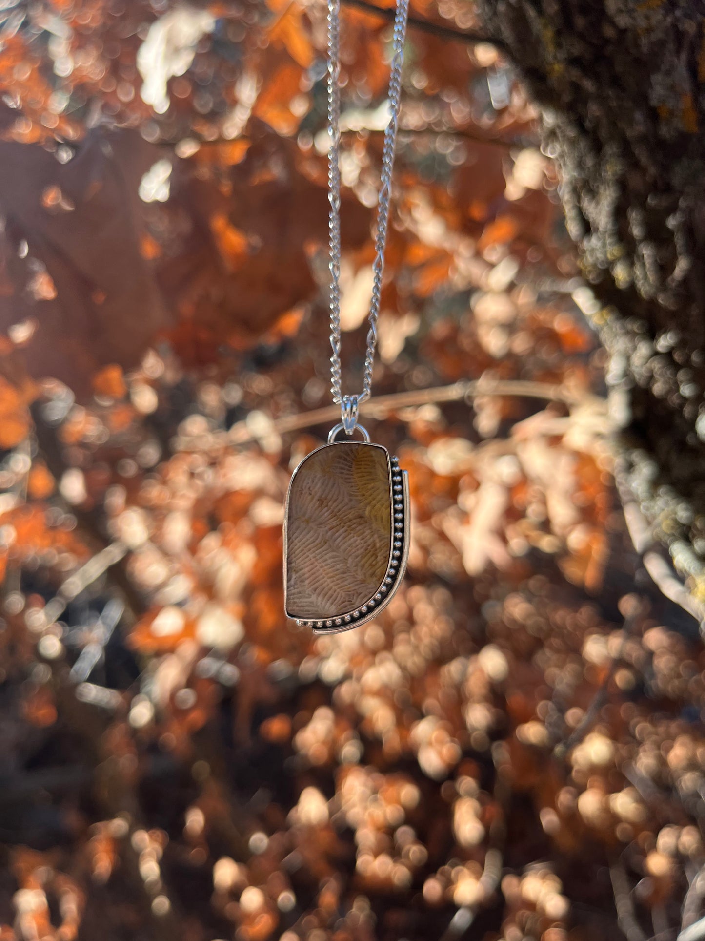 fossilized corral necklace