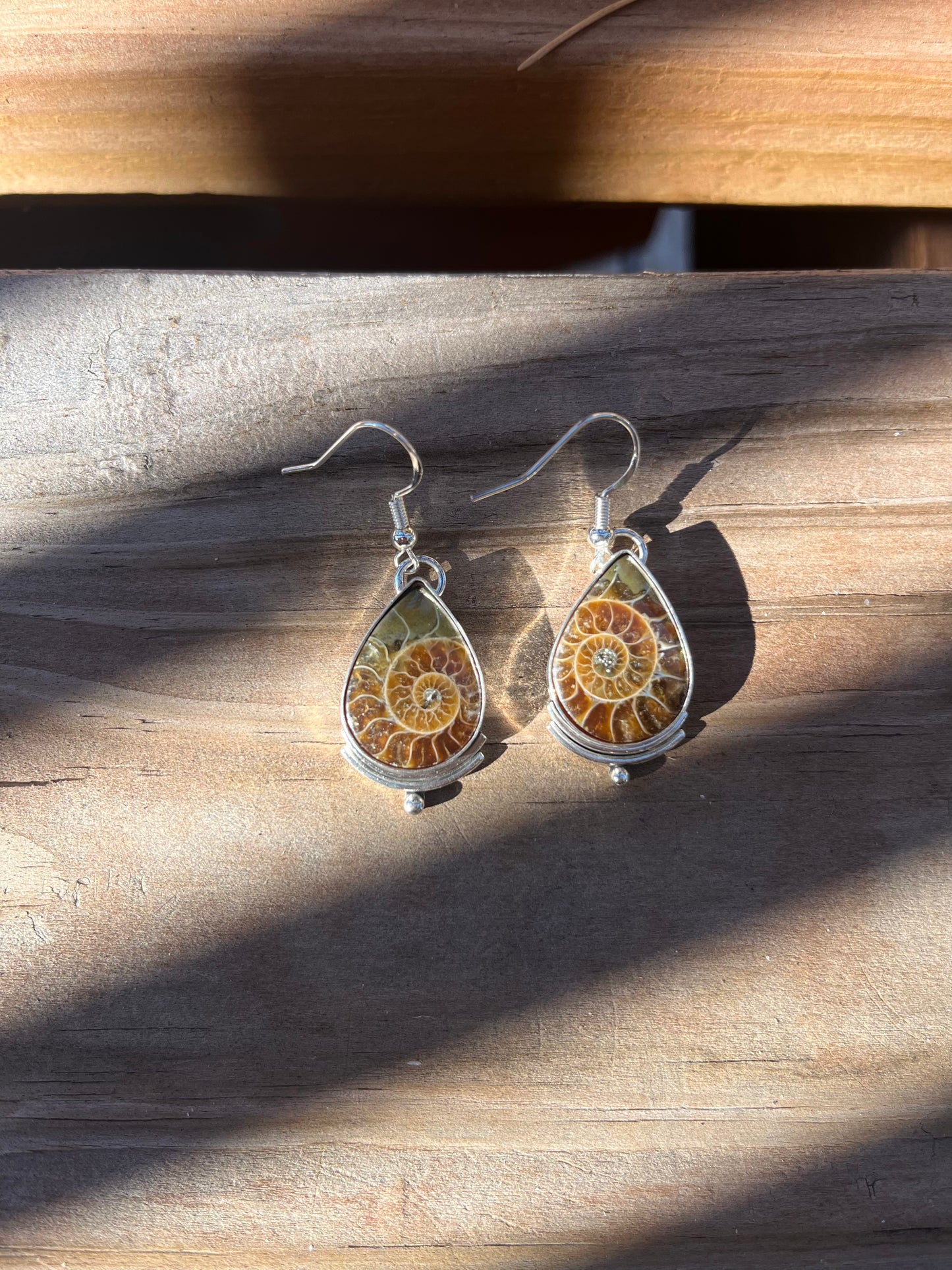 fossilized ammonite earrings