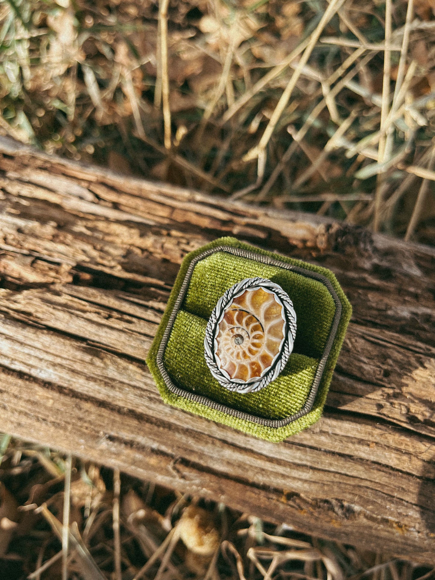 fossilized ammonite ring size 7.5-8
