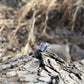 rectangle turquoise ring + hand stamped tree band size 6.25