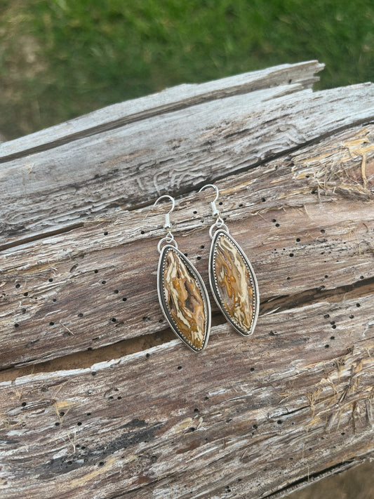 petrified wood earrings