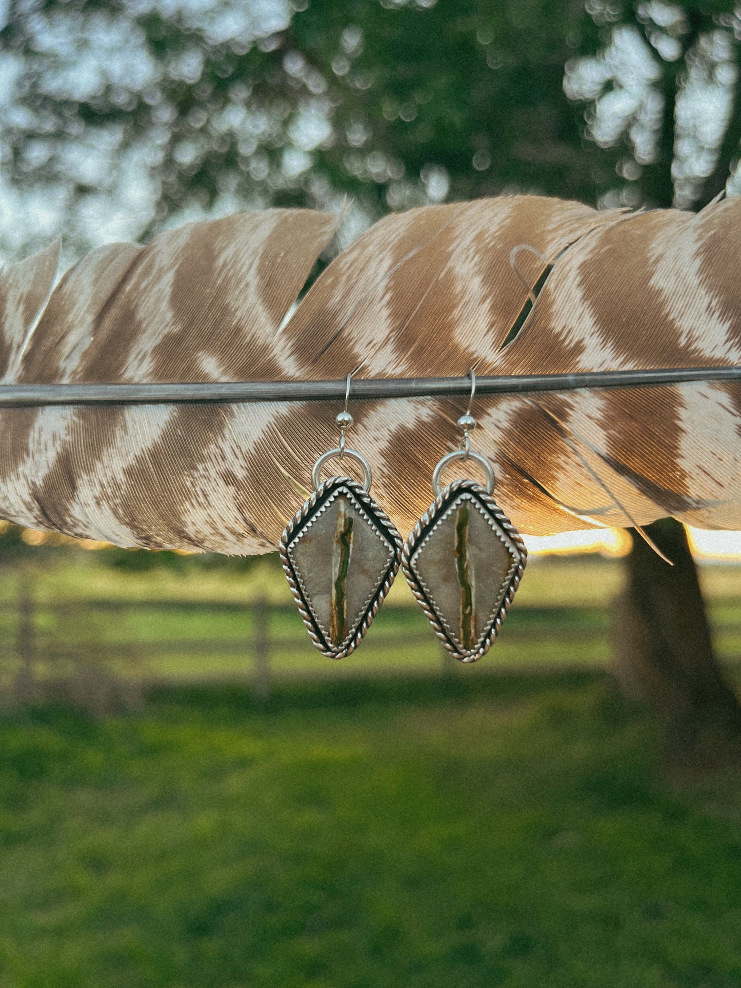 royston ribbon kites