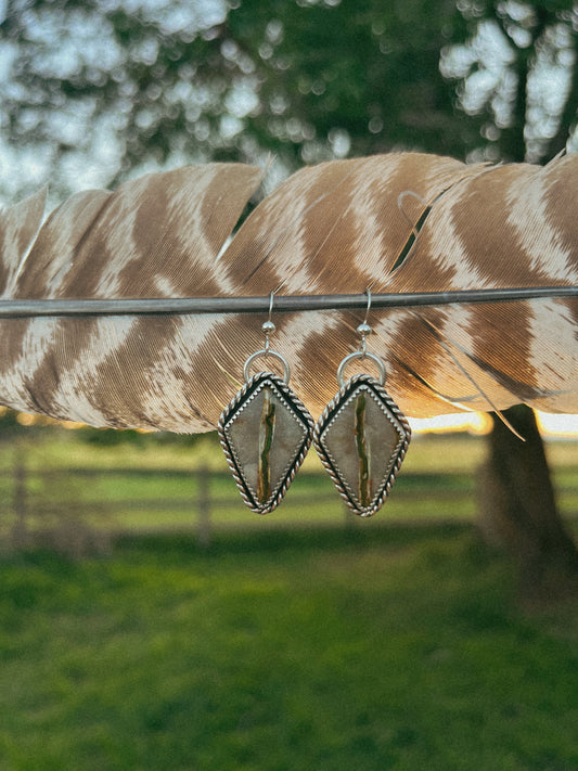 royston ribbon kites