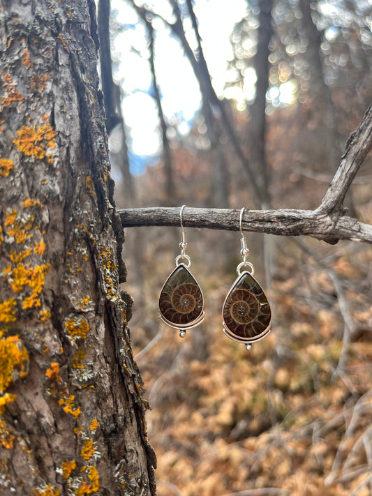fossilized ammonite earrings