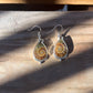 fossilized ammonite earrings