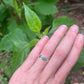 #8 turquoise ring size 7