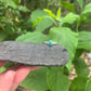 #5 turquoise ring size 7.75-8