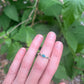 #10 turquoise ring size 6.5-7
