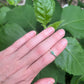 #13 turquoise ring size 6