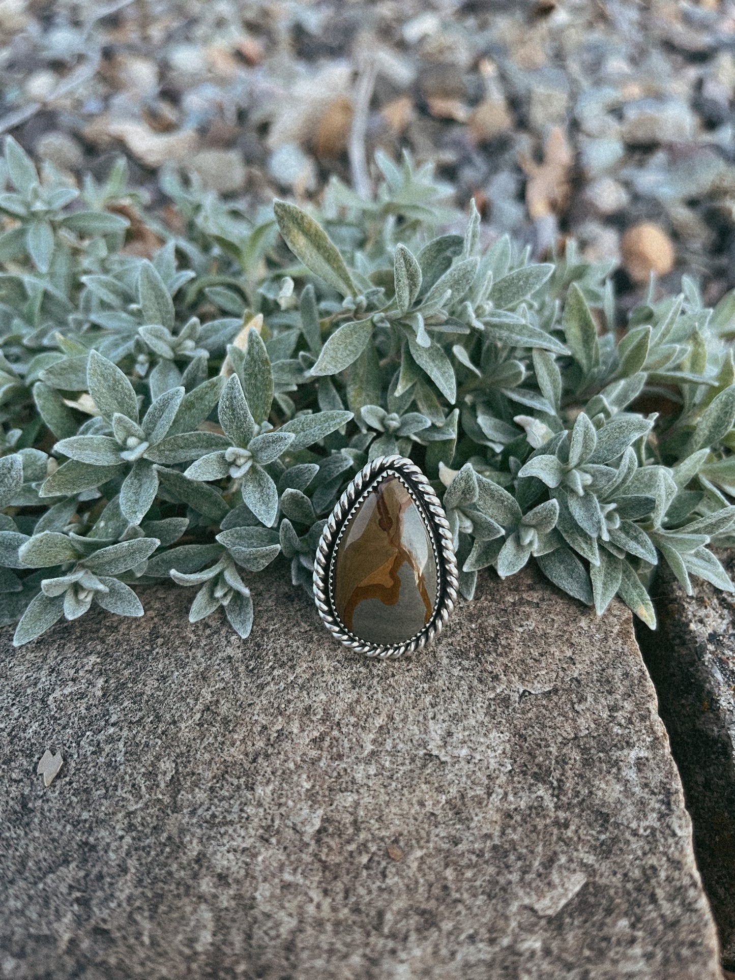 owyhee picture jasper ring size 7.5