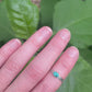 #7 turquoise ring size 7
